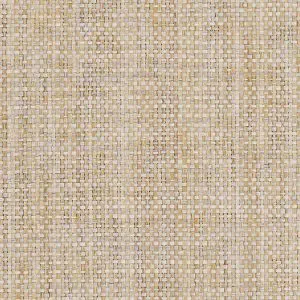 All Wound Up - White, Cream, Neutral, 3576-All Wound Up-Natural Connection