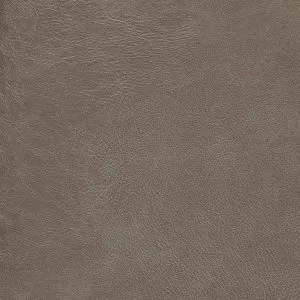 Arcadia - Brown, Gold, Orange, Yellow, Arcadia-Granite