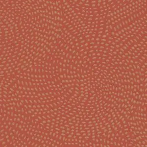 Aster - Brown, Gold, Orange, Yellow, Aster-Guava
