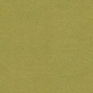 Cultivate - Blue, Green, Cultivate-Spring